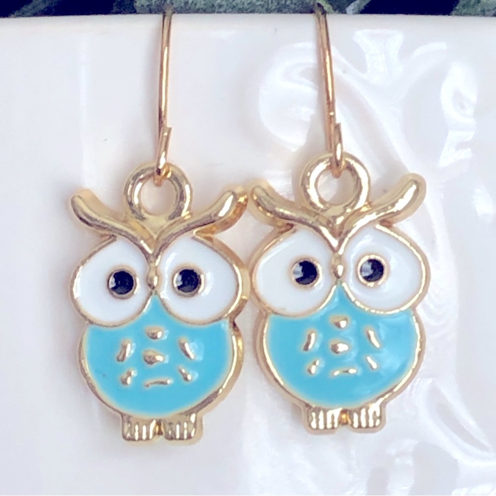 New Owl Dangling Enamel Charm Earrings Bird Animal Wise Teacher Gift Pastel Blue